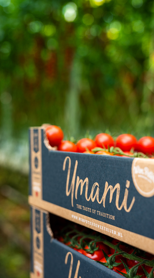 Umami_tomaten_WPK