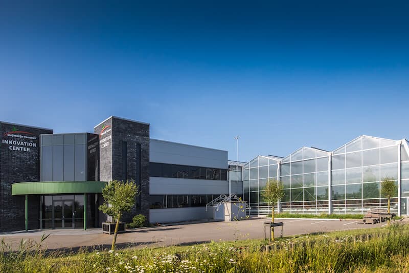 Duijvestijn Tomaten
